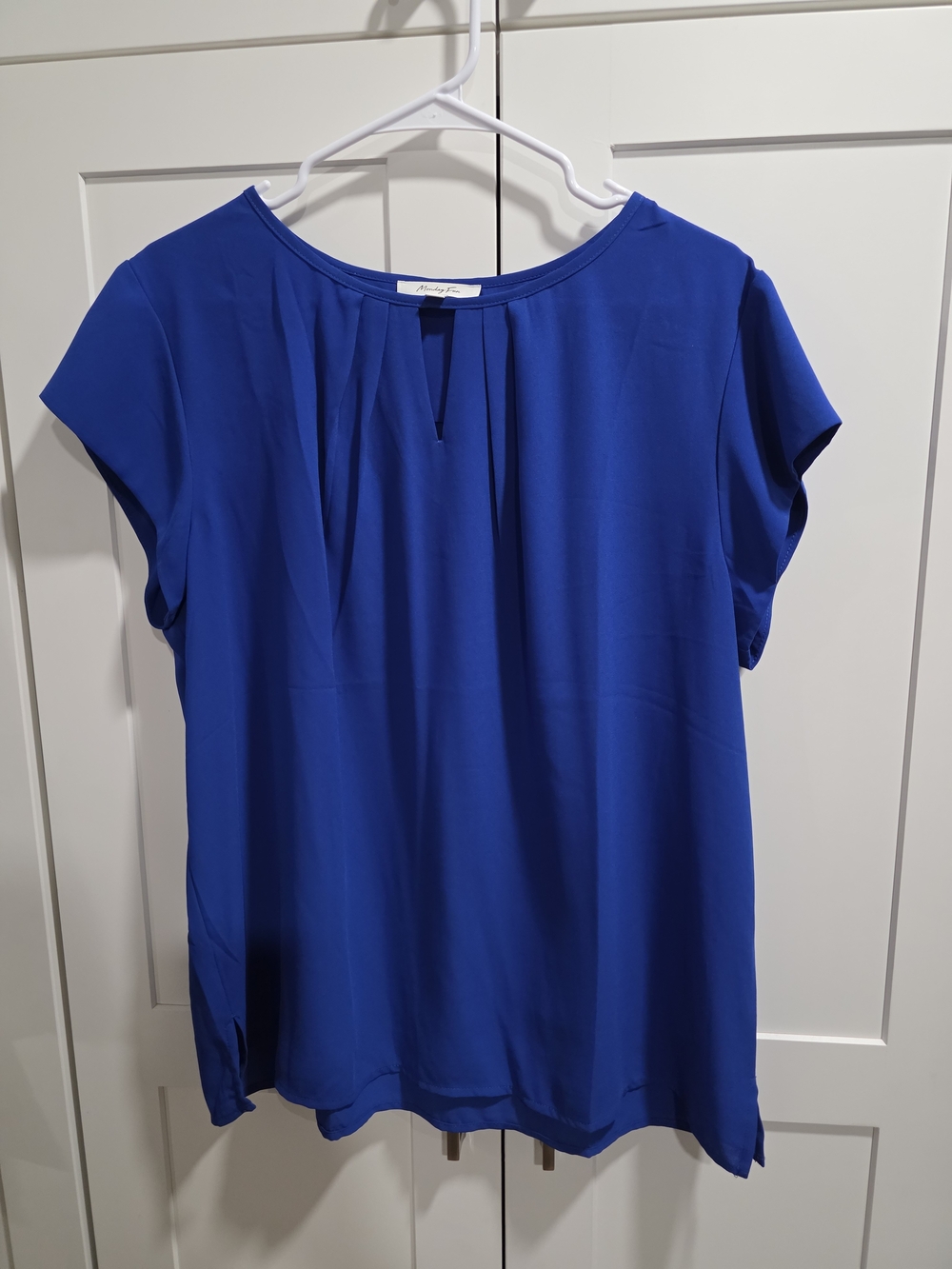 Blue Short-Sleeve Pleated Blouse
